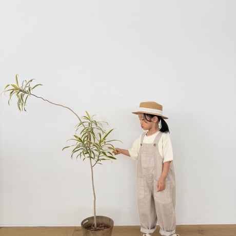 lovin/20. day pocket overalls 1-11