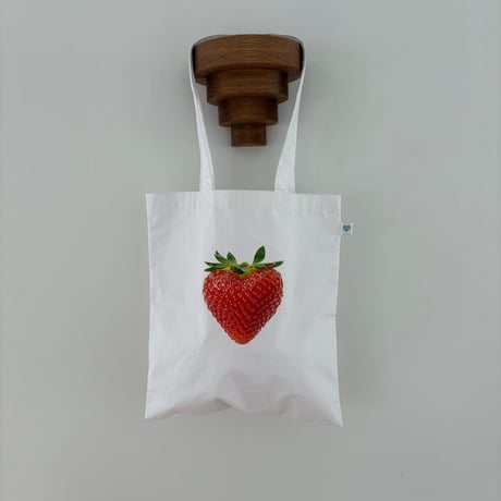 lalaland/41. fru echo bag FREE