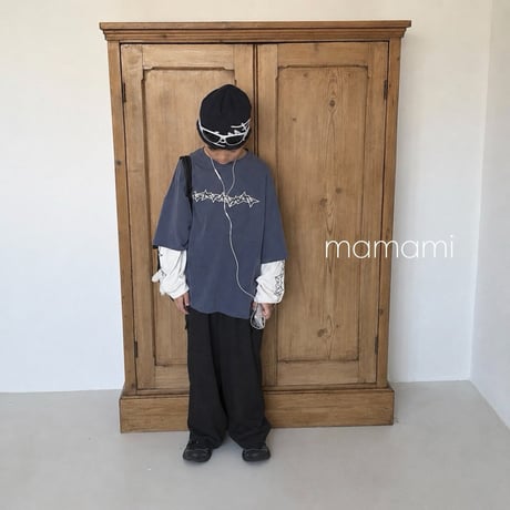 mamami/14. cargo wide P  JS-JL