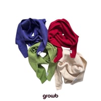 growb/2. Seattle scarf FREE