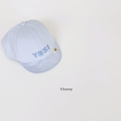 vbunny/64. yes cap FREE(45-48CM)