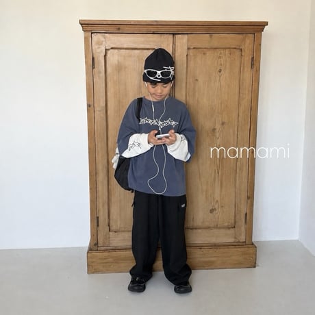 mamami/14. cargo wide P  JS-JL