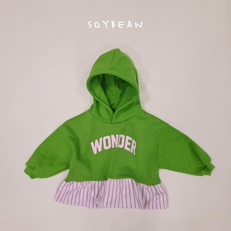 soybean/166. wonder pumpkin hood JS-JM