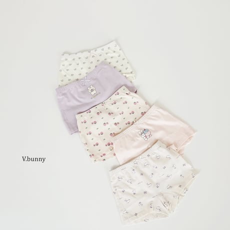 vbunny/58. lovely underpants S-3XL