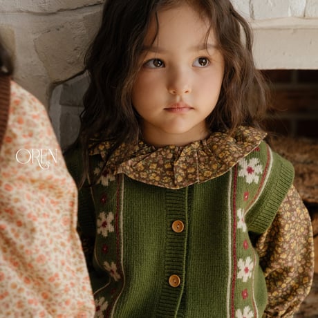 oren/36. fullurre knit vest S-XL
