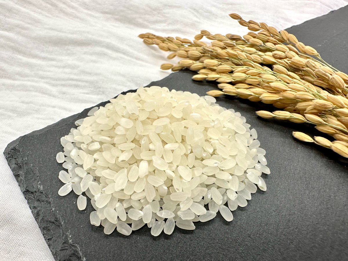 令和6年産 恋の予感 2kg | KOMETORA