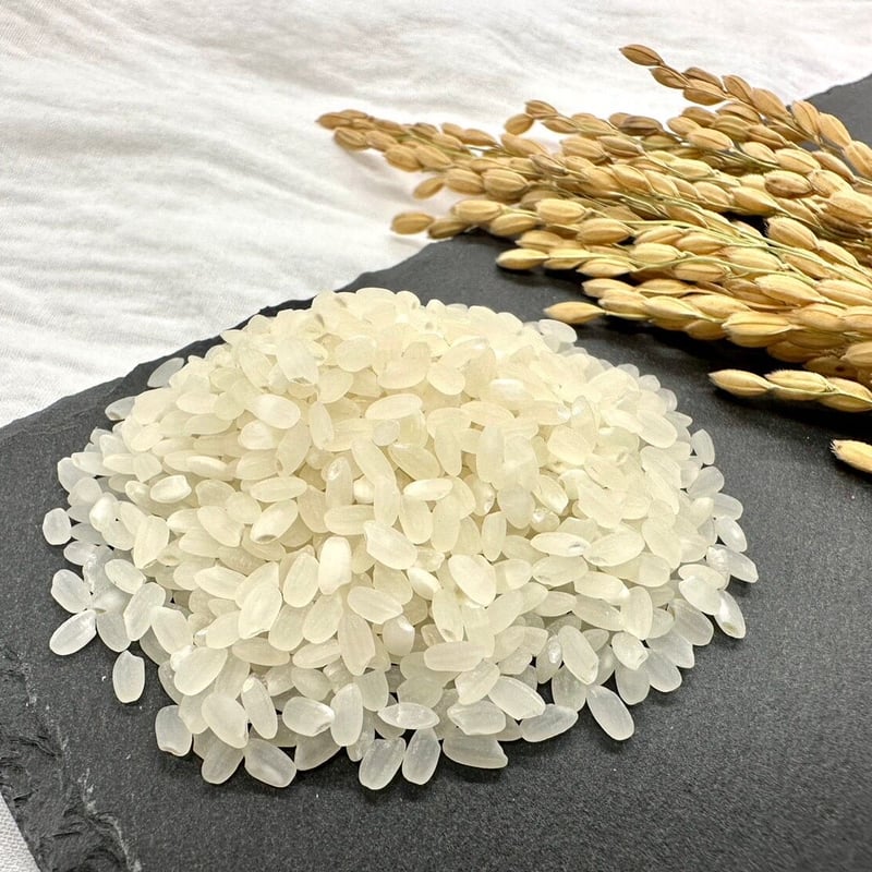 令和6年産 きぬむすめ 5kg 送料込み | KOMETORA 令和6年産 きぬむすめ 5kg 送料込み | KOMETORA