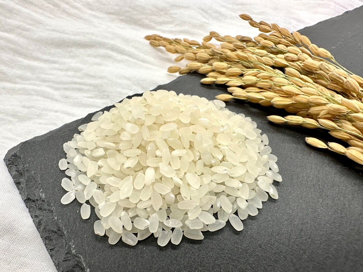 令和6年度　きぬむすめ　10Kg 白米 楽天市場】令和6年 岡山県産 きぬむすめ 10kg (5kg×2個) お米 特