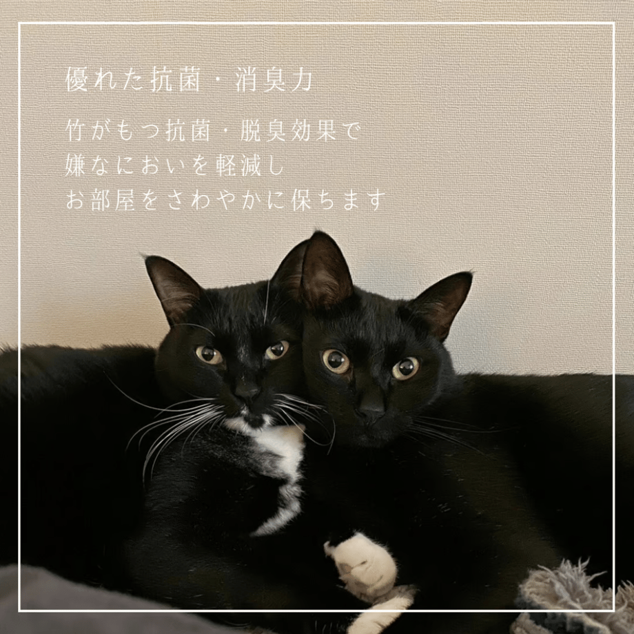 65389245b8793a002e15fdcb