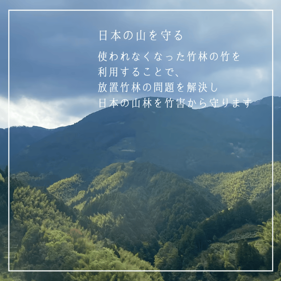 65389245b8793a002e15fdcb