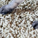 竹でつくった猫砂