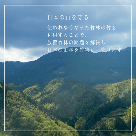 【定期便】竹ペレット 猫トイレ 6L （小）