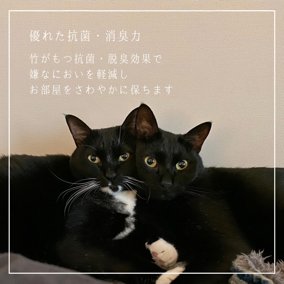 6659a2d3fafd8b031f3cbea3