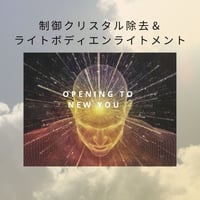 【セッション】 制御クリスタル除去&ライトボディエンライトメント（対面）