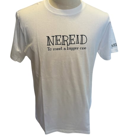 コットンTシャツ4.0oz 沖上がり2026