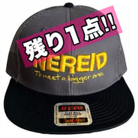 バックメッシュ NEREID 3Dロゴ FLAT CAP（OTTO）