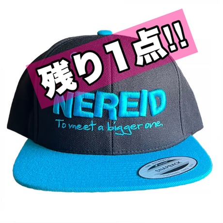 NEREID 3Dロゴ FLAT CAP（YUPOONG）