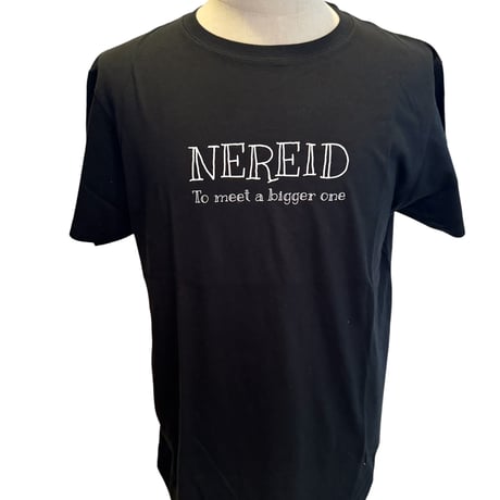コットンTシャツ4.0oz 沖上がり2026