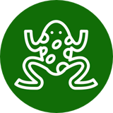ミルキーフロッグ専門店　KEROYON