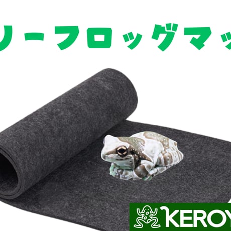 （ありがとうごいました）4㎝〜　ミルキーフロッグ ミルキーフロッグ専門店 KEROYON