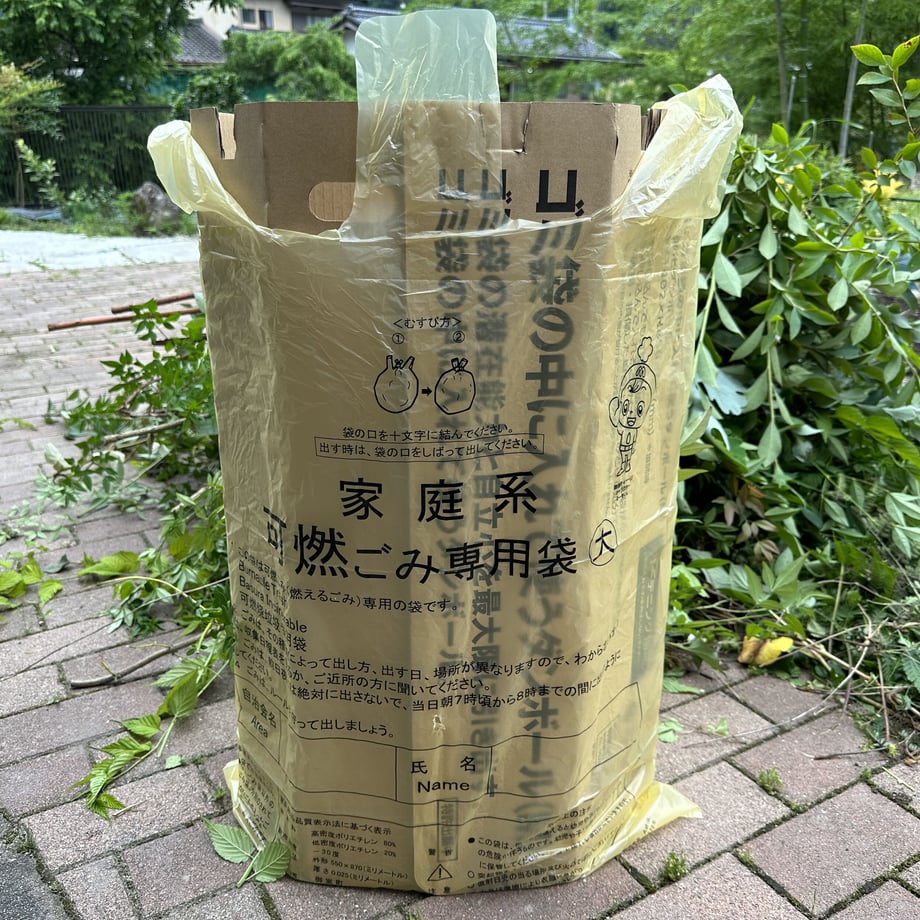 65451d91646cf10209260b60