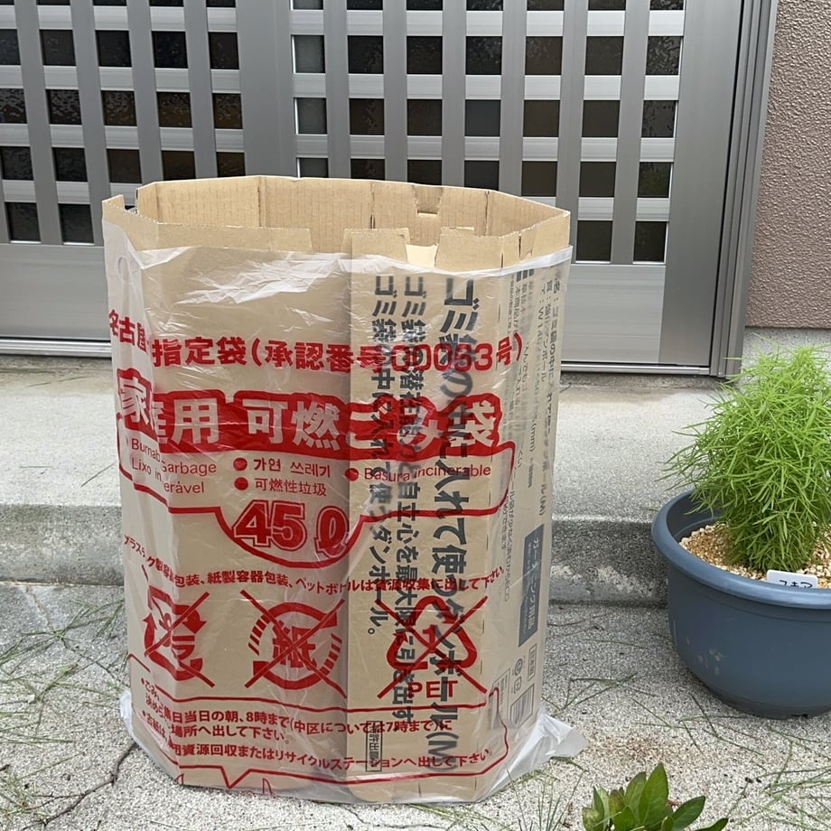 65451d91646cf10209260b60
