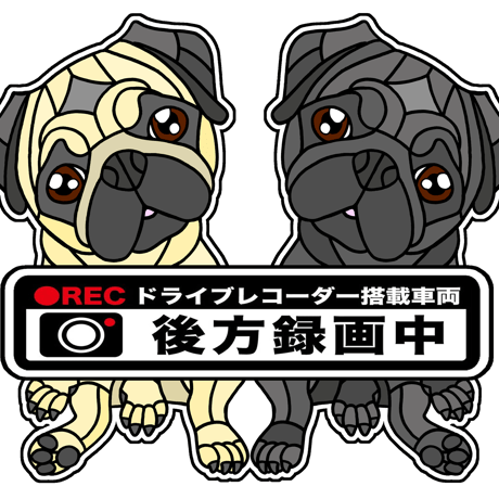 パグ アートフォト「What's up？」デンマーク　レア パグ アートフォト「What's up？」デンマーク レア