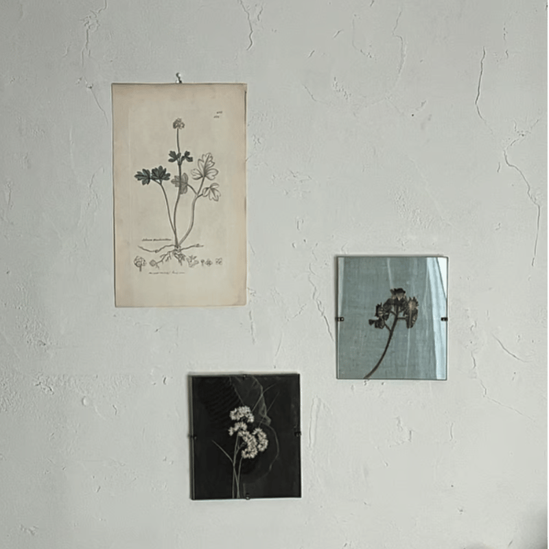 ネコ　インテリア　銅版画　フランス作家　ボリス・オクライン 手彩色 美術品 ネコインテリア銅版画フランス作家ボリス・オクライン 手彩色 美術品