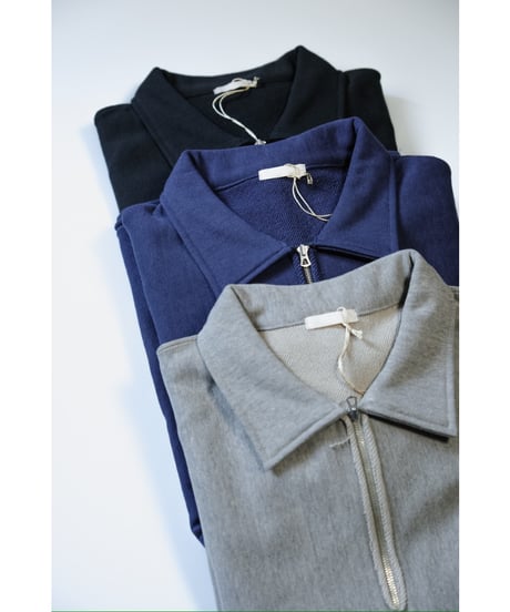 ULTERIOR FADED SILKY TERRY RW HALF ZIP P/O