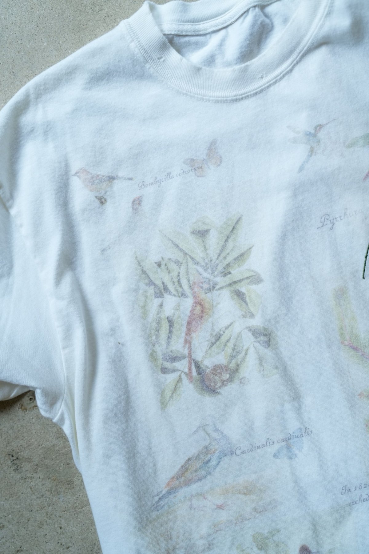 ANCELLM BIRD ENCYCLOPEDIA T-SHIRT | MusterWerk
