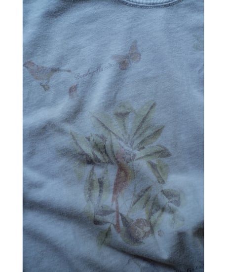 ANCELLM BIRD ENCYCLOPEDIA T-SHIRT