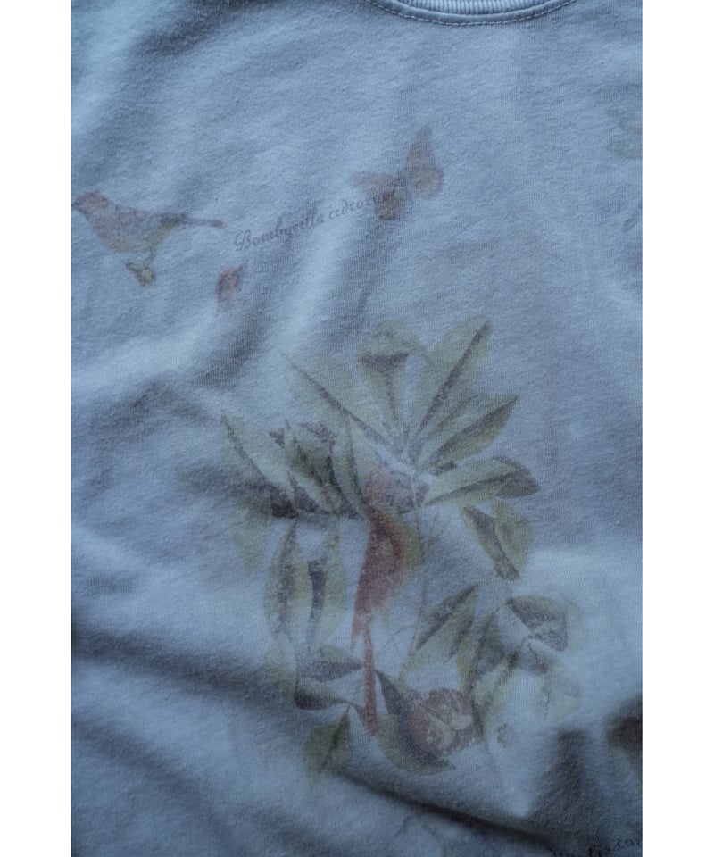 ANCELLM BIRD ENCYCLOPEDIA T-SHIRT | MusterWerk