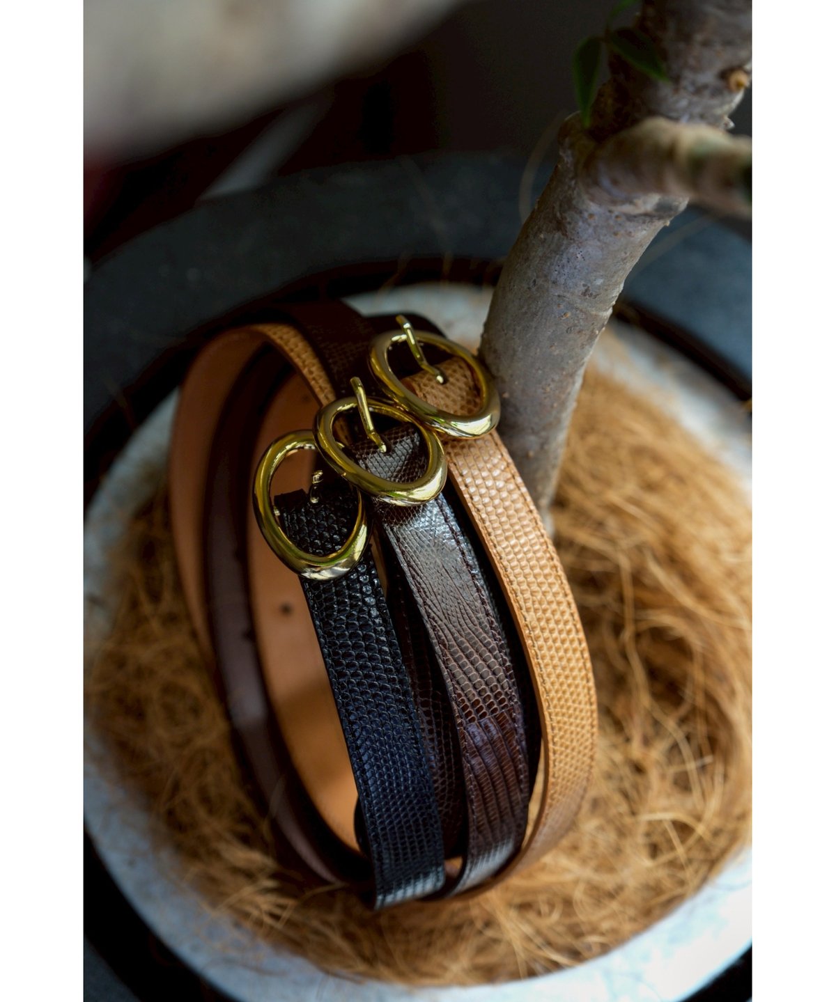 BISOWN ビソウン LIZARD OVAL BELT AILL BISOWN(ビソウン)/LIZARD OVAL BELT – peau de l'Ours