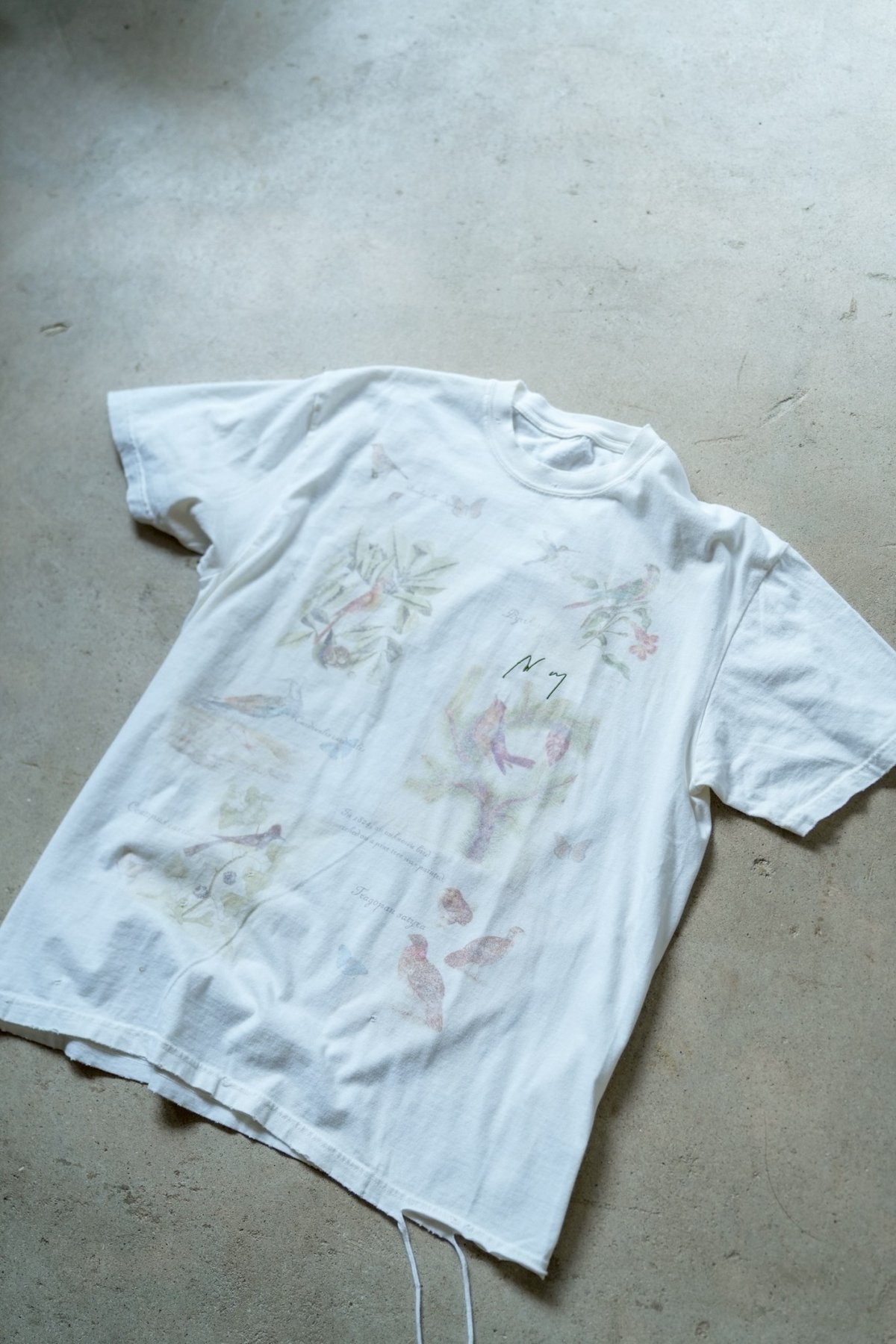ANCELLM BIRD ENCYCLOPEDIA T-SHIRT | MusterWerk