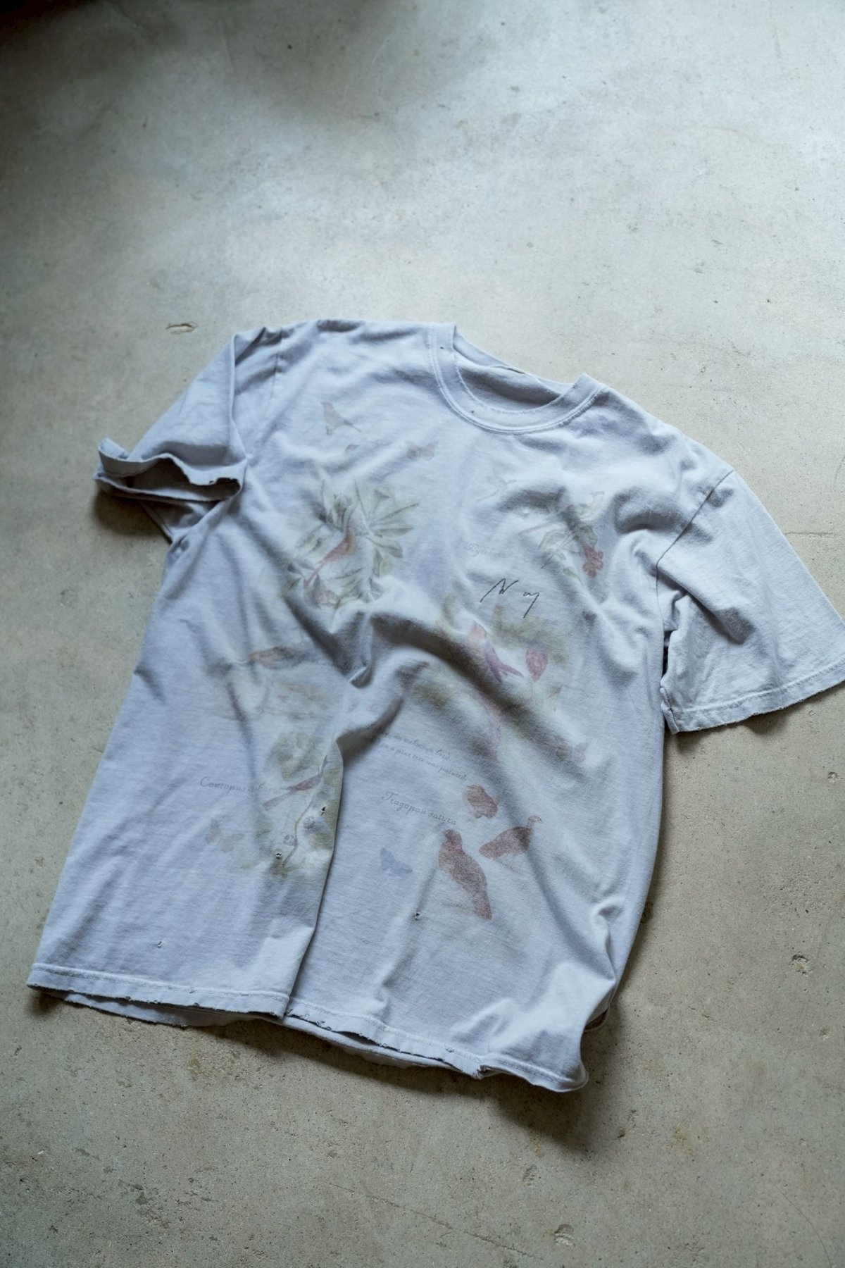 ANCELLM BIRD ENCYCLOPEDIA T-SHIRT | MusterWerk