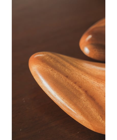 forme Shoe trees (LAST10)
