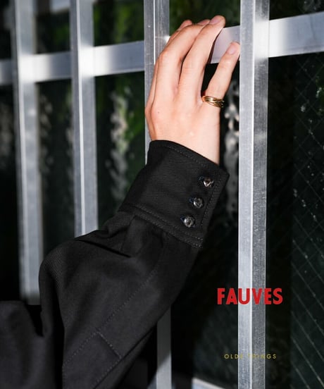 FAUVES SH RANCH