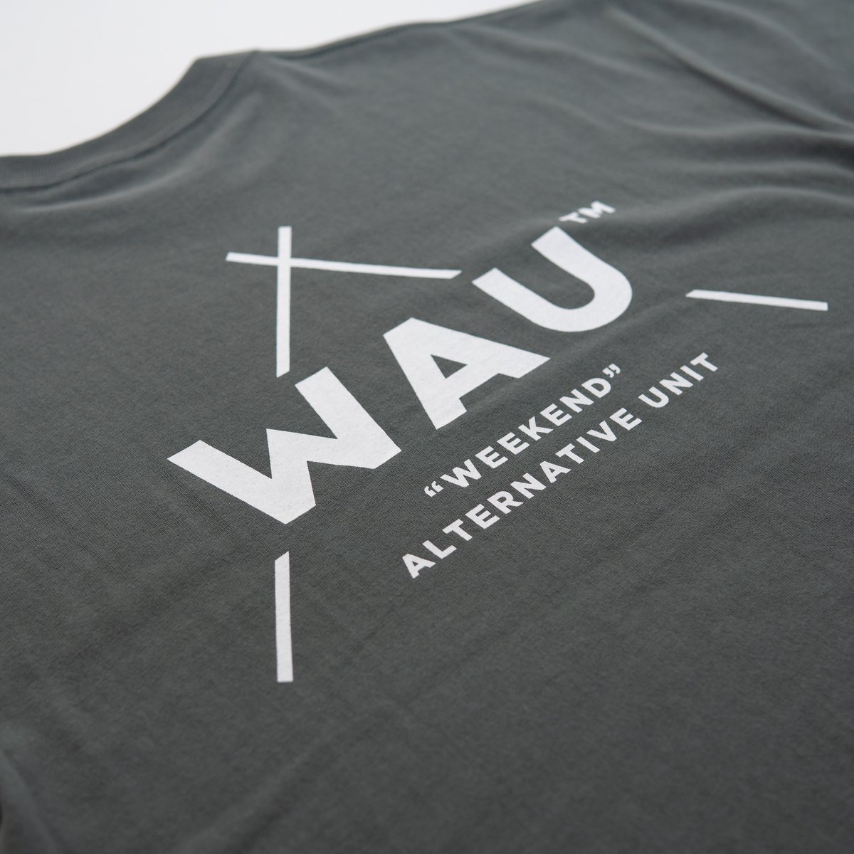 ビッグシルエットTシャツ【ストーングリーン】 | WAU