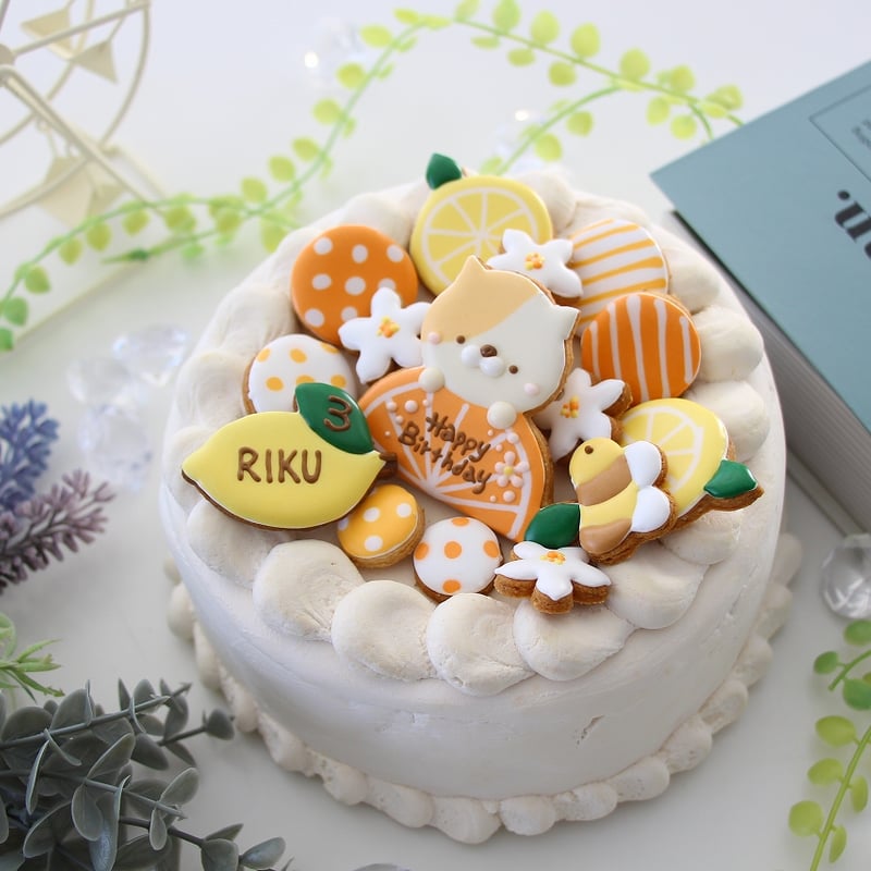 アイシングクッキーセット 【柑橘ねこ】 | お誕生日アイシングクッキー