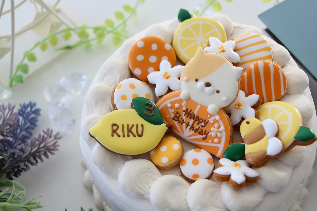 アイシングクッキーセット 【柑橘ねこ】 | お誕生日アイシングクッキー