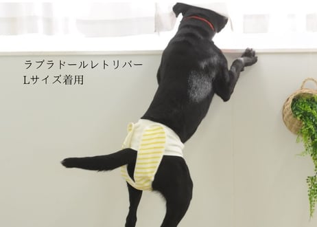【Lサイズ単品】おむつカバー ネイビー×レッド