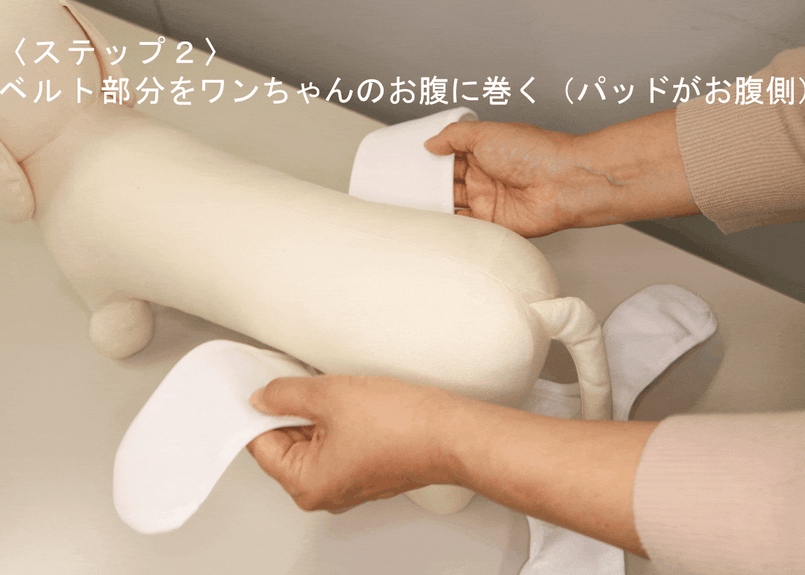 ORIGINAL【Sサイズ単品】おむつカバー ネイビー×レッド | omuwan｜愛犬