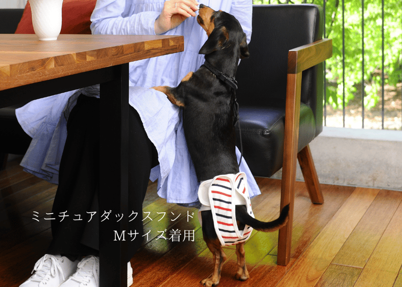 れ*地様 【新品】大人用オムツカバーマジックテープ　犬柄　水色S-Mサイズ 510rpdaYqPL.jpg_BO30,255,255,