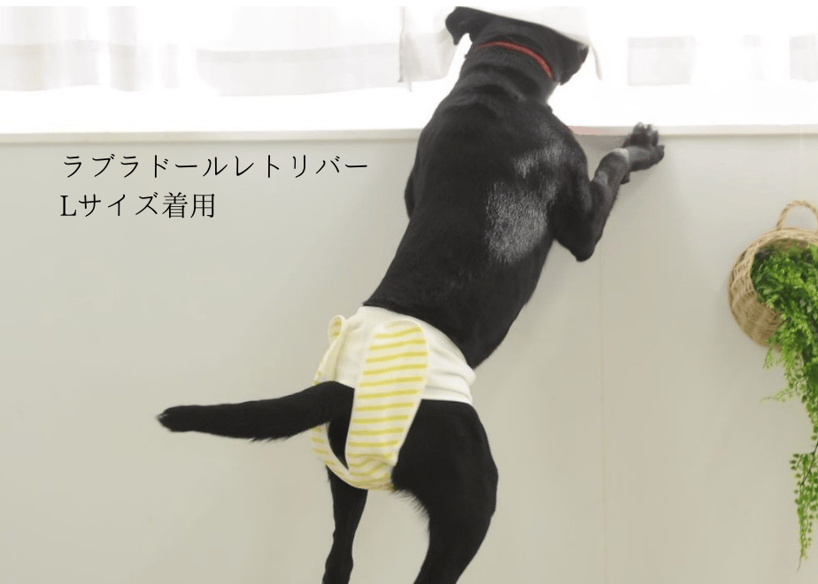 657815dfce1b81002b1256d5
