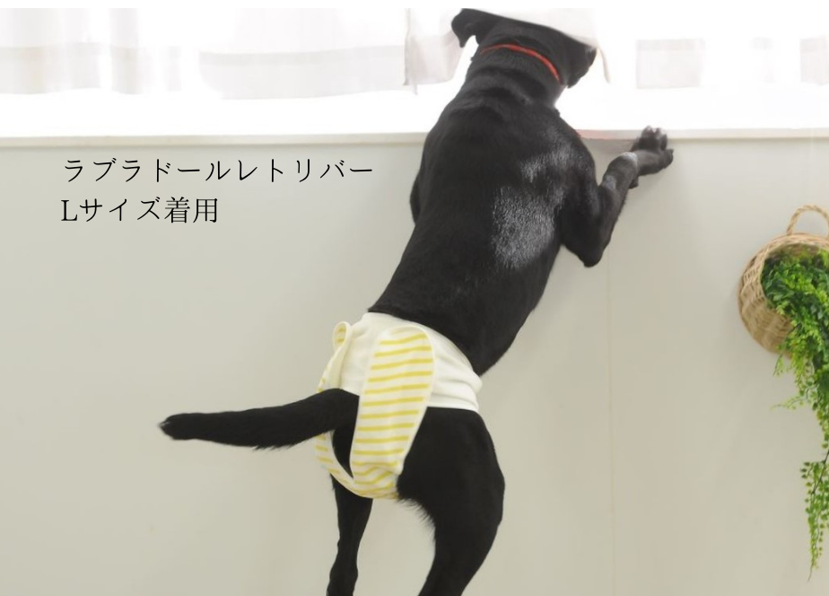 Lサイズ単品】おむつカバー イエロー | omuwan｜愛犬のための国産布の犬おむつ｜おでか...