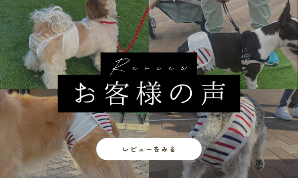 omuwan｜愛犬のための国産布の犬おむつ｜おでかけ・旅行や介護にも