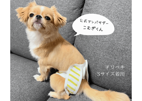 【Sサイズセット】おむつカバー＋パッド1枚 ネイビー×レッド（110円お得）
