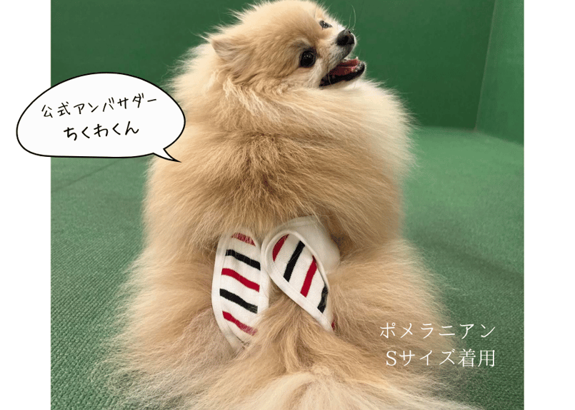 Sサイズ単品】おむつカバー ネイビー×レッド | omuwan｜愛犬のための