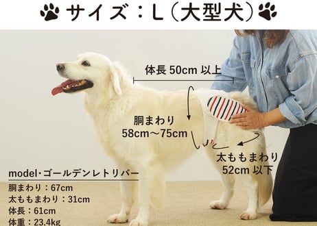 【Lサイズセット】おむつカバー＋パッド1枚 イエロー（330円お得）