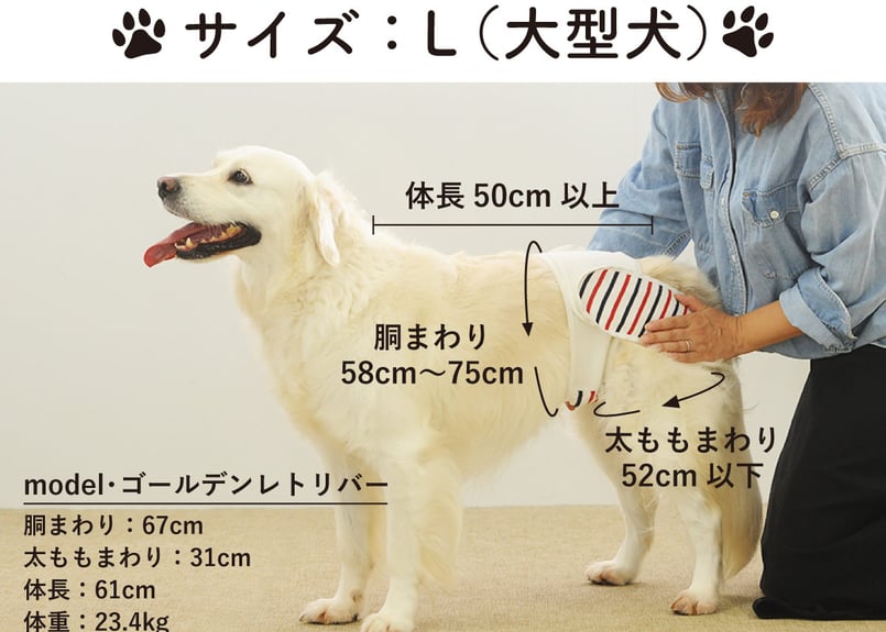 Lサイズセット】おむつカバー＋パッド1枚 ネイビー×レッド（330円お得